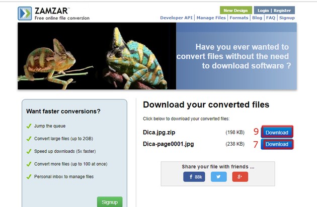 How to Convert Word Documents to JPG Without Downloading Anything