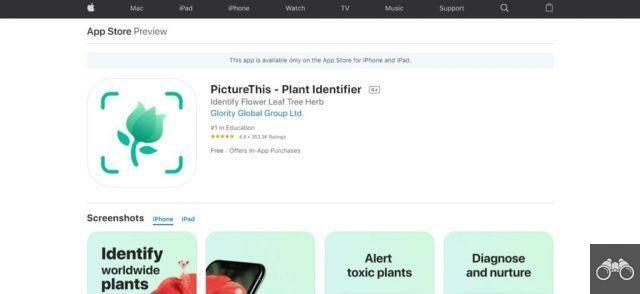 9 meilleures applications pour identifier les plantes