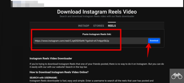How to download Reels from Instagram?