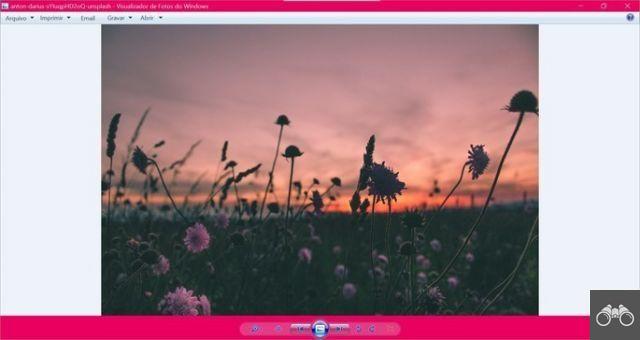 Los 10 mejores visores de fotos para reemplazar la aplicación de Windows