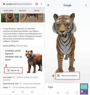Animales 3D de Google: aquí se explica cómo usarlo en Android y iPhone
